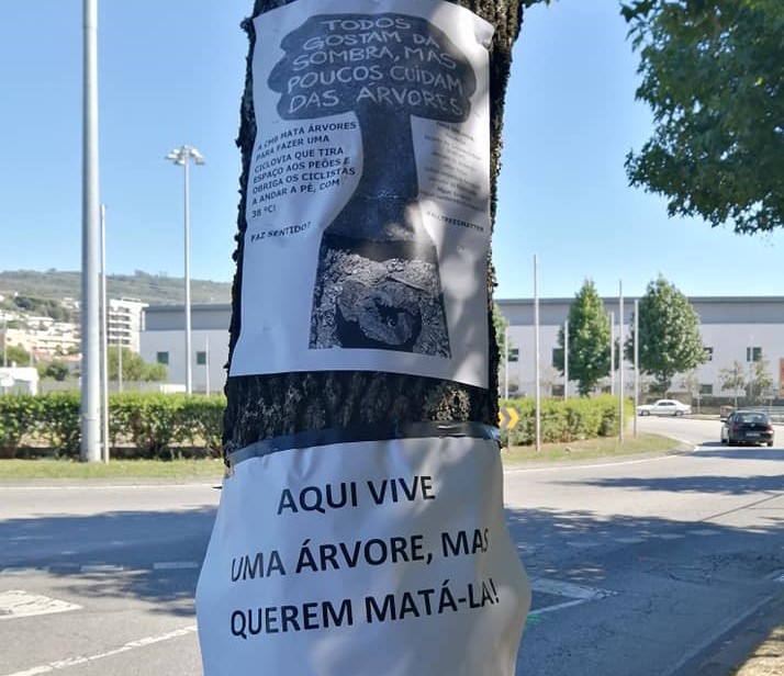 PSP identifica activistas contra abate de árvores em Braga