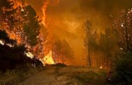 Incêndio da Ponte da Barca progride em direcção à Mata de Cabril