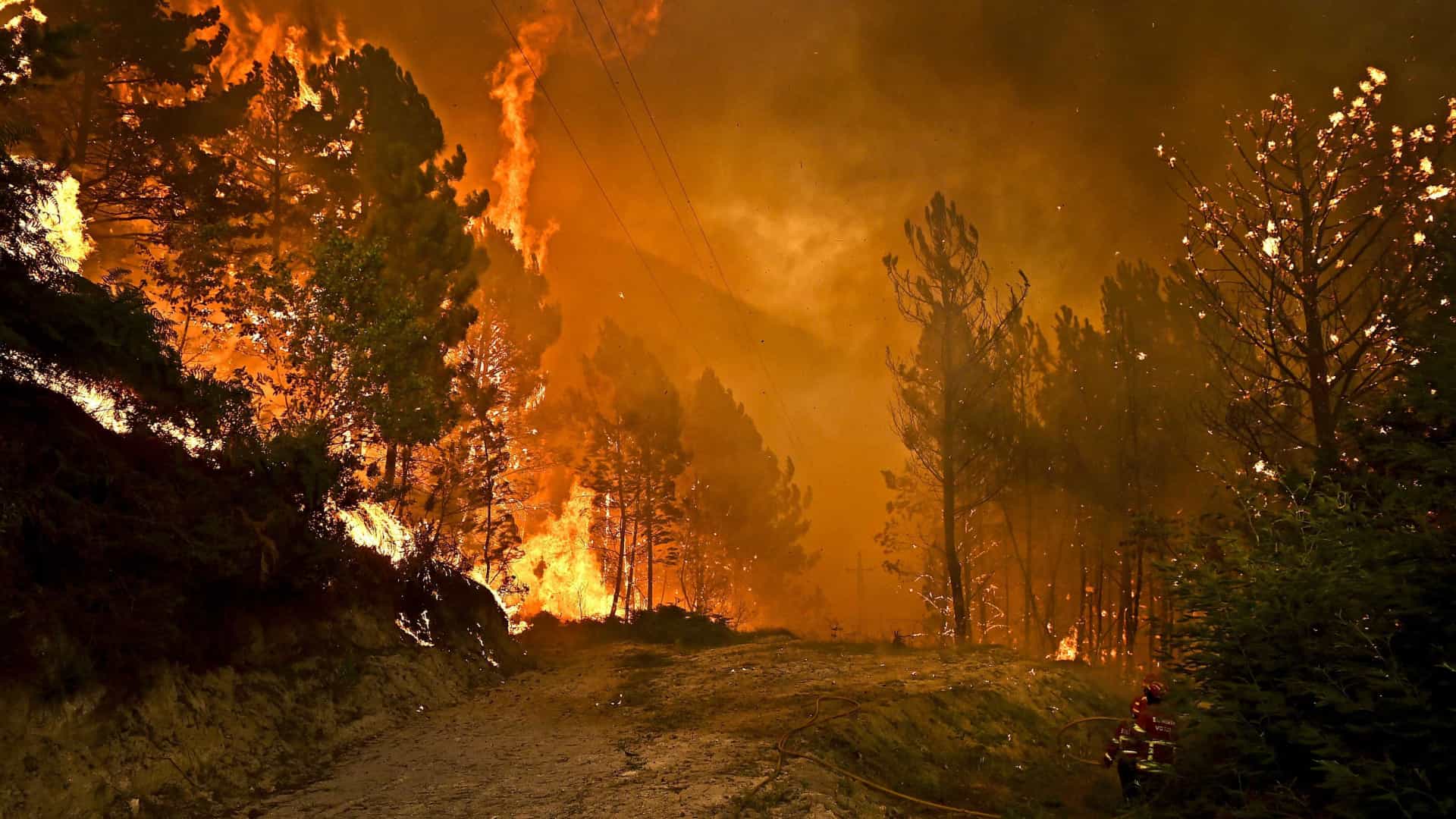 Incêndio da Ponte da Barca progride em direcção à Mata de Cabril