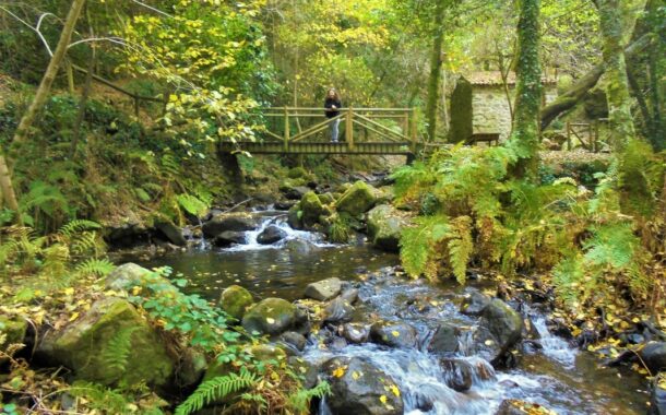 Associações e empresas unem esforços para reabilitação ecológica de áreas classificadas de Viana do Castelo