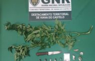 Dois jovens detidos por tráfico de droga em Viana do Castelo