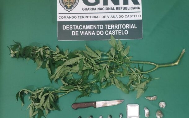 Dois jovens detidos por tráfico de droga em Viana do Castelo
