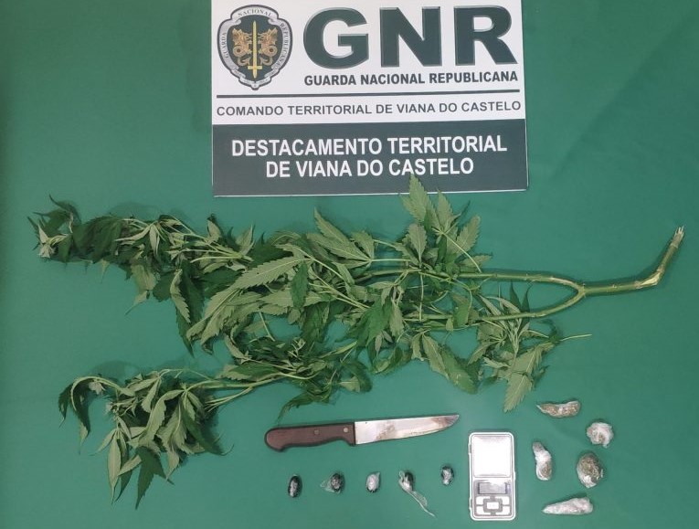 Dois jovens detidos por tráfico de droga em Viana do Castelo