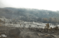 Preventiva para desempregado suspeito de oito incêndios florestais em Vieira do Minho
