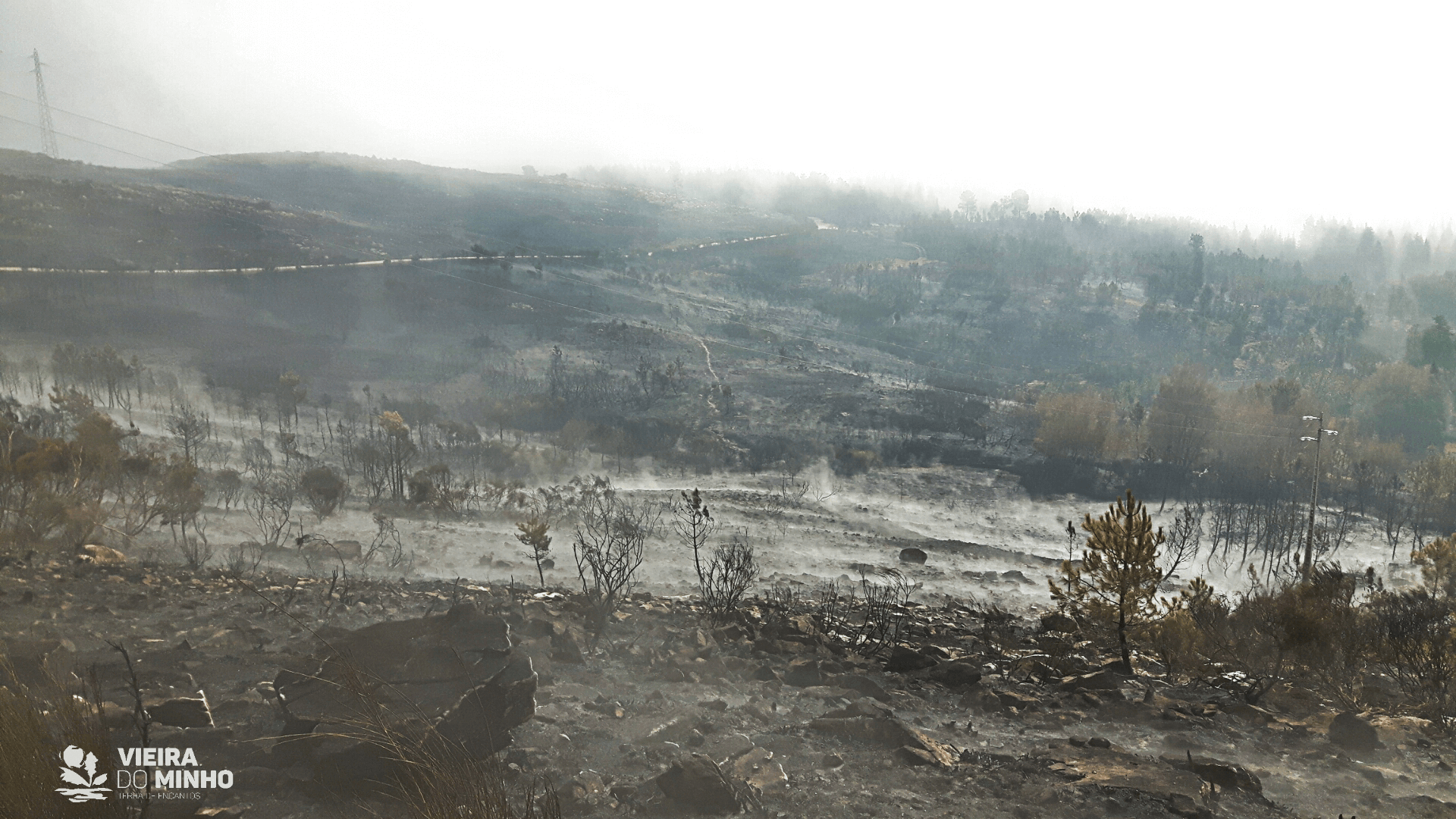 Preventiva para desempregado suspeito de oito incêndios florestais em Vieira do Minho