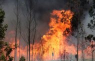 Fogo “junto a habitações” em Cabeceiras de Basto (em actualização)