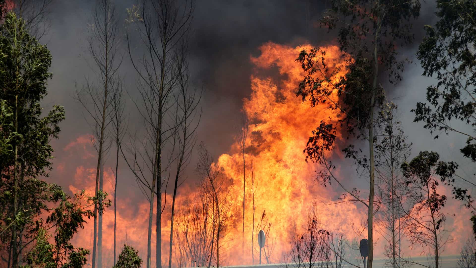 Fogo “junto a habitações” em Cabeceiras de Basto (em actualização)