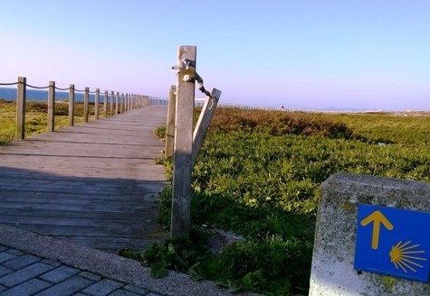 Movimento de peregrinos no Caminho de Santiago cai mais de 80% em Viana do Castelo