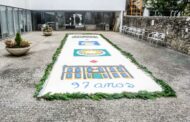 Museu de Artes Decorativas de Viana do Castelo mostra tradição da Senhora da Agonia com tapete florido de 12 metros de