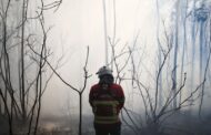 Arcos de Valdevez reclama mais policiamento da floresta e helicóptero. PJ instala vídeo-vigilância