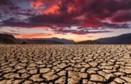 Até ao final do século, aumento da temperatura pode matar mais do que todas as doenças infecciosas juntas