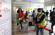 TAP retoma voos regulares entre Lisboa e Luanda a partir de 2.ª feira