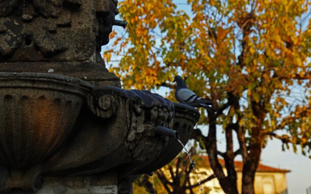 Fontanários de Braga são tema do Concurso Municipal de Fotografia