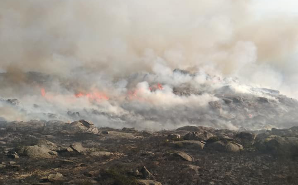 Mais de 160 operacionais e sete meios aéreos combatem fogo em Caminha