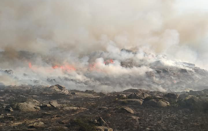 Mais de 160 operacionais e sete meios aéreos combatem fogo em Caminha