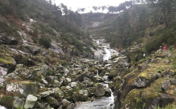 Detido sapador florestal suspeito de matar homem que praticava caça furtiva em Mondim de Basto