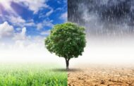 Universidade do Minho apresenta ‘app’ que alerta agricultores sobre mudanças climáticas