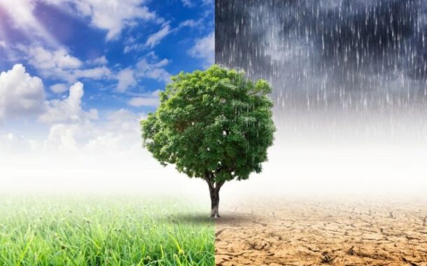 Universidade do Minho apresenta ‘app’ que alerta agricultores sobre mudanças climáticas
