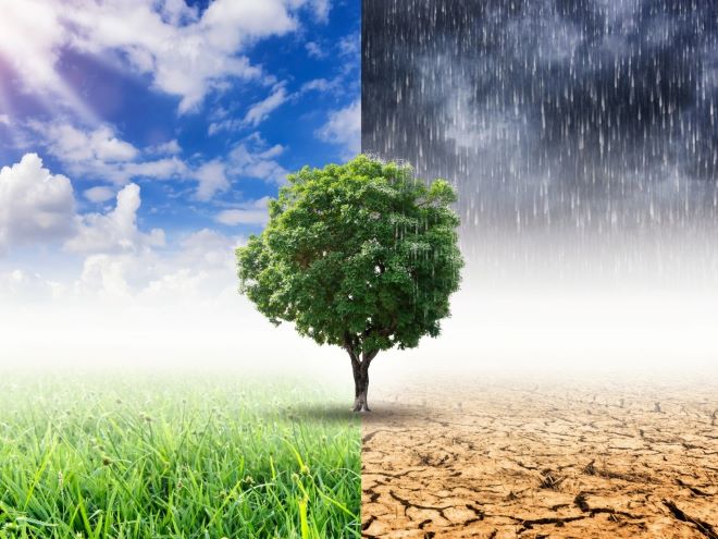Universidade do Minho apresenta ‘app’ que alerta agricultores sobre mudanças climáticas