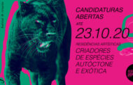 Teatro Didascália, em Joane, abre concurso para residências artísticas (até 23 OUT)