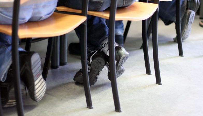 Alunos de Famalicão que não frequentaram Cidadania e Desenvolvimento passam de ano