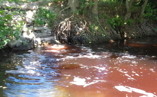Comissão do Ambiente aprova audições sobre rio Vizela