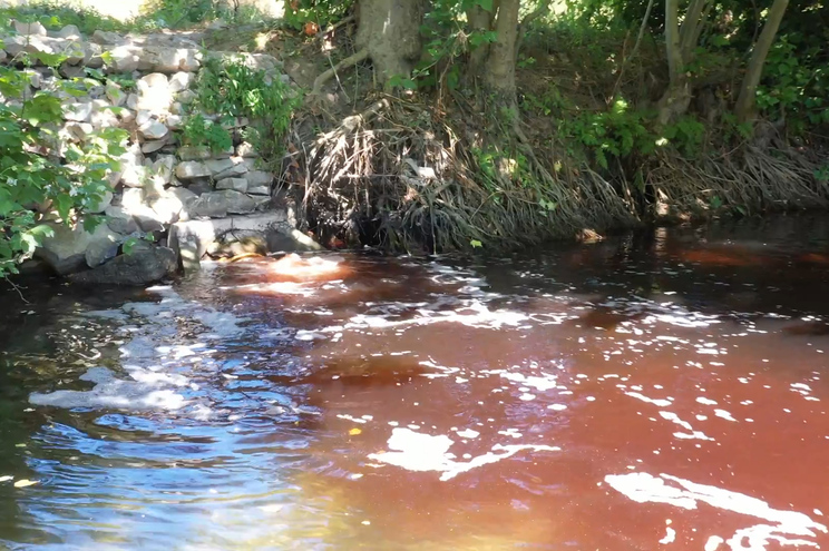 Comissão do Ambiente aprova audições sobre rio Vizela
