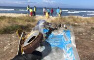 Voluntários recolhem uma tonelada de lixo marinho em cinco praias de Esposende