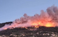 PJ deteve quatro suspeitos de causar incêndio que consumiu 400 hectares em Ponte de Lima