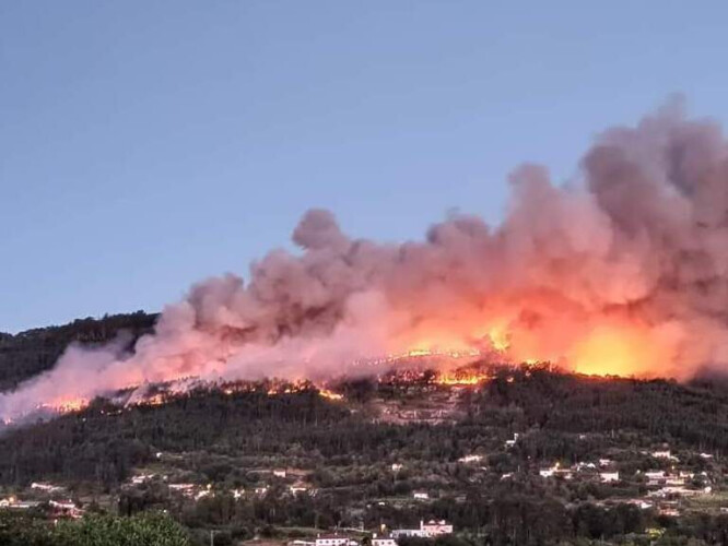 PJ deteve quatro suspeitos de causar incêndio que consumiu 400 hectares em Ponte de Lima