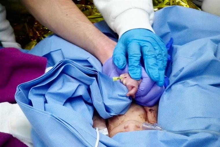 MP pede 12 anos de prisão para mãe que abandonou bebé em contentor do lixo