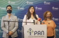 PAN anuncia apoio à candidatura de Ana Gomes à Presidência