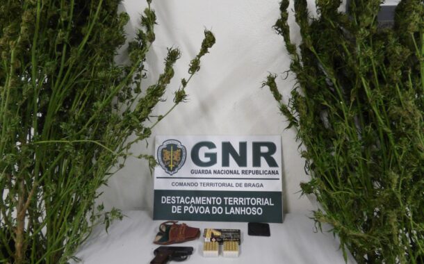 Homem de 80 anos arguido por posse de canábis e de arma proibida