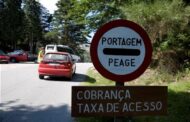 BE denuncia excesso de trânsito e morte de animais por atropelamento na Mata de Albergaria no Gerês