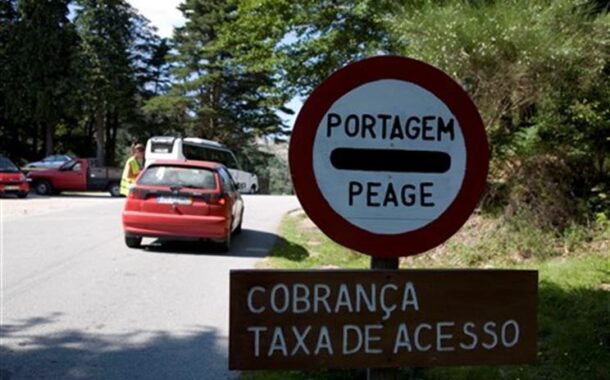 BE denuncia excesso de trânsito e morte de animais por atropelamento na Mata de Albergaria no Gerês