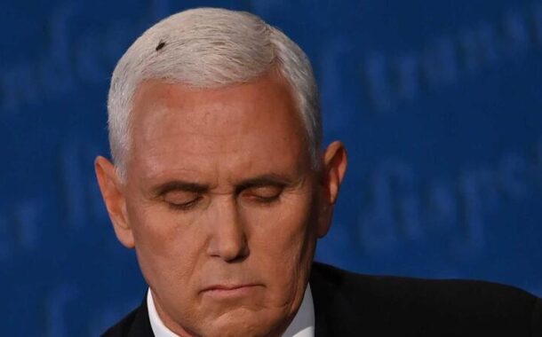 Debate Pence/ Kamala. Os norte-americanos deram mais atenção à mosca que sobrevoou o debate