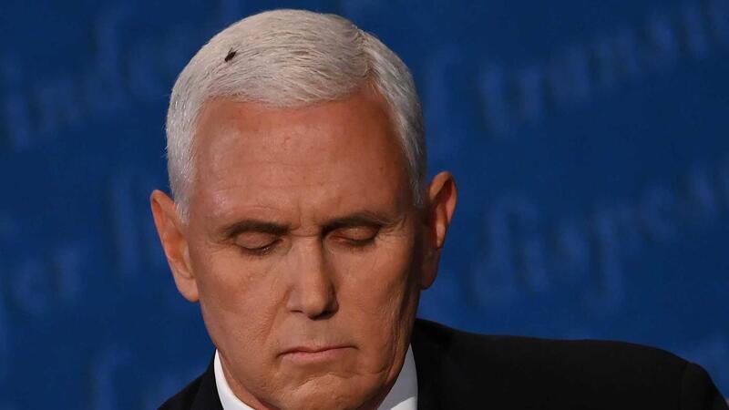 Debate Pence/ Kamala. Os norte-americanos deram mais atenção à mosca que sobrevoou o debate