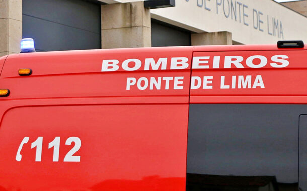 Picada de abelha deixa homem em estado critico em Ponte de Lima
