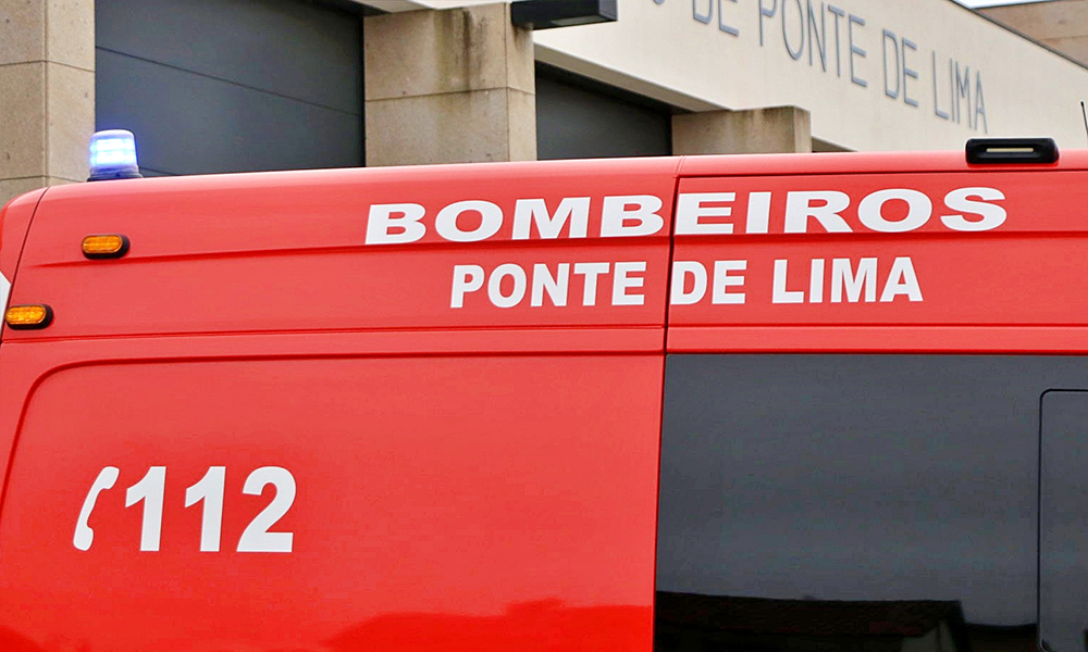 Picada de abelha deixa homem em estado critico em Ponte de Lima