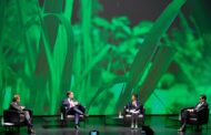 Braga oficializa candidatura a Capital Europeia da Cultura 2027 com lançamento da instalação ‘Concerto para 2027 plantas’