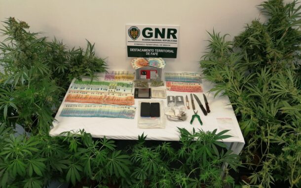 Quatro detidos por tráfico de droga em Fafe