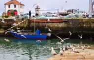 BE questiona o Governo sobre dragagens no porto pesca de Viana do Castelo