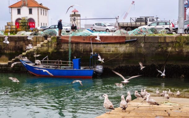 BE questiona o Governo sobre dragagens no porto pesca de Viana do Castelo