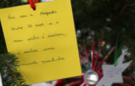 Árvore dos Sonhos alegra Natal de utentes de cinco instituições de Braga