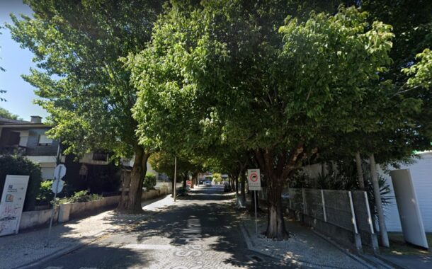 Câmara substitui árvores em rua do centro de Braga