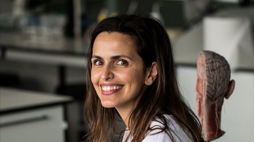 Cientista de Famalicão recebe bolsa de dois milhões de euros do Conselho Europeu de Investigação