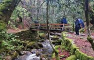 Câmara de Braga analisa criação do ‘Caminho Minhoto Ribeiro’