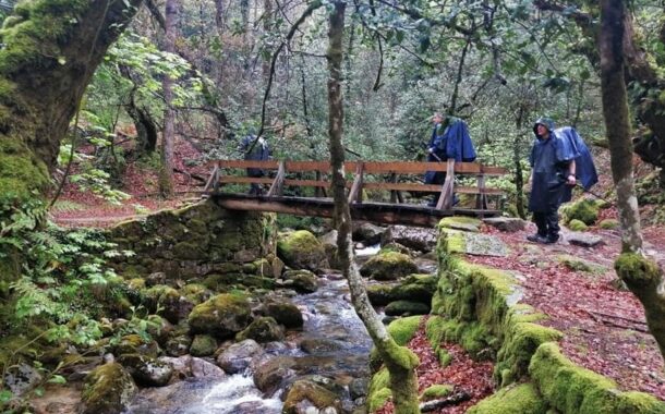 Câmara de Braga analisa criação do ‘Caminho Minhoto Ribeiro’