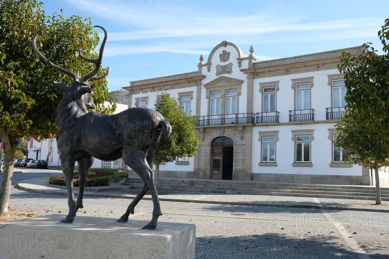 Sobe para oito o número de mortes em lar de Cerveira