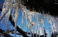 Câmara de Braga alerta para tempo frio